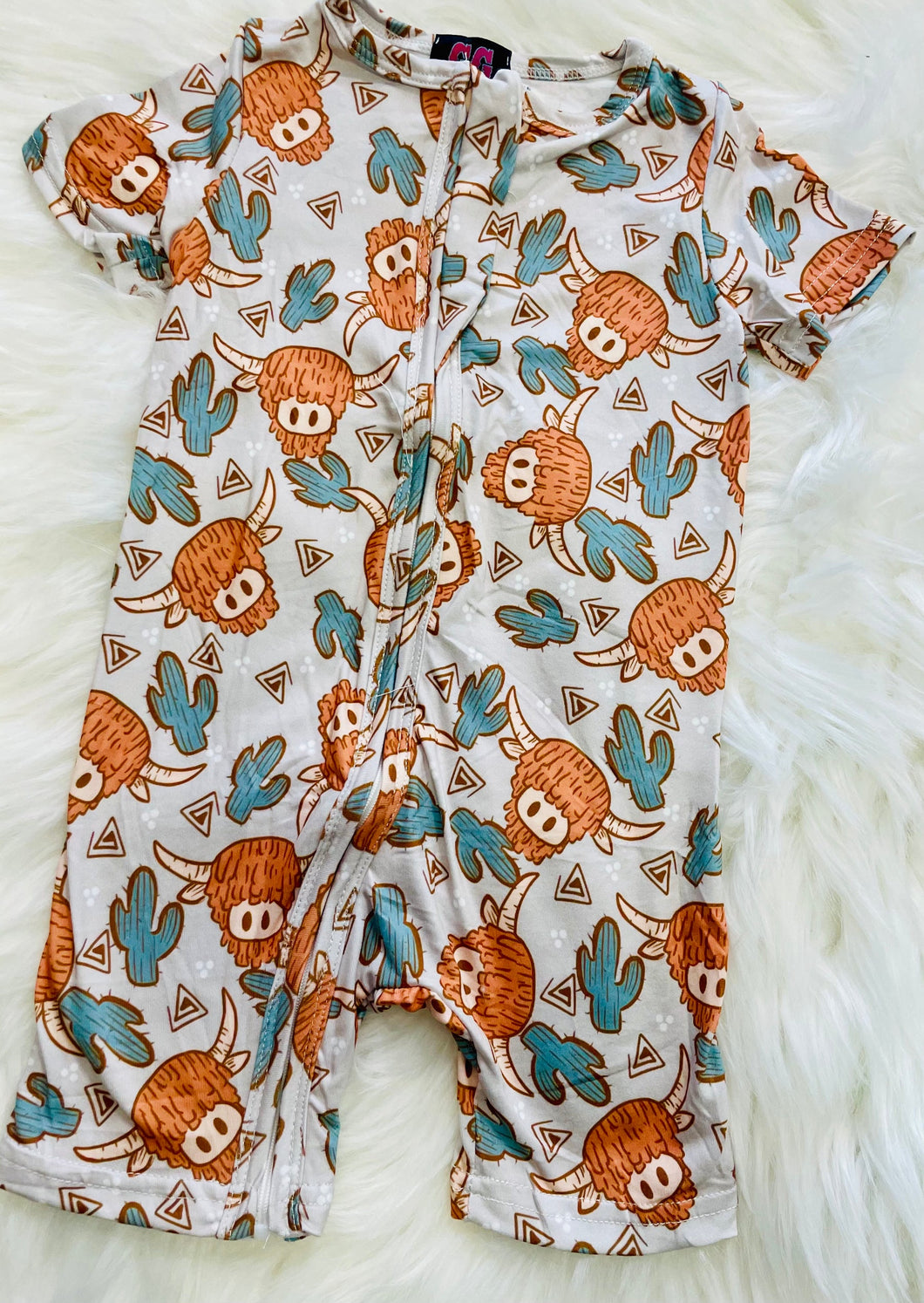 Highland cow & cactus Shortall